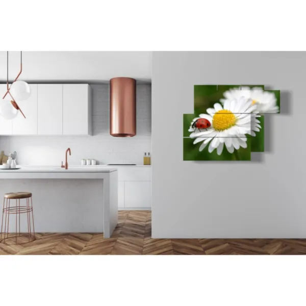 arredamento con foto margherite bianche