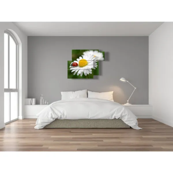 peintures avec des photos de marguerites blanches