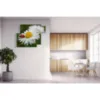 peintures florales marguerites blanches