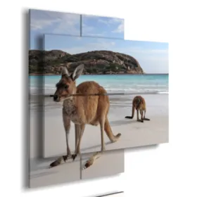 Modern animal paintings in Australia