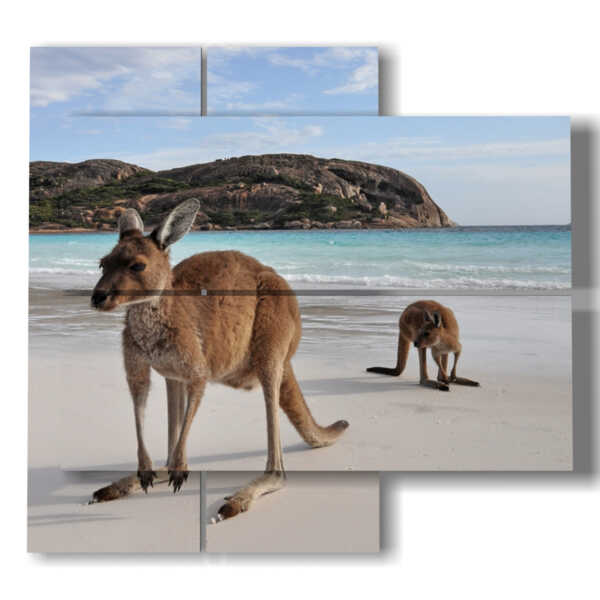 quadri animali moderni in Australia