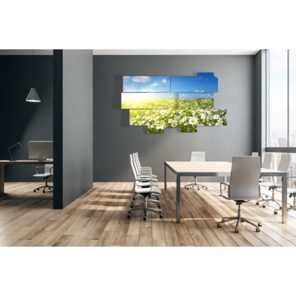 tableaux avec des marguerites des champs