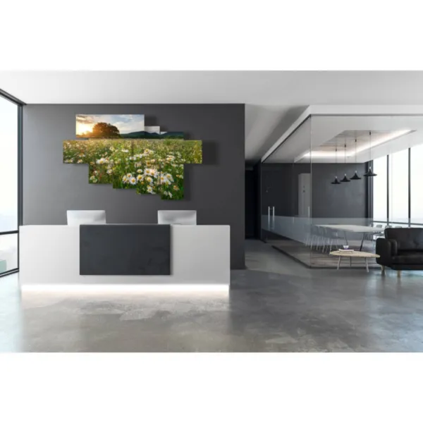 cuadros con margaritas