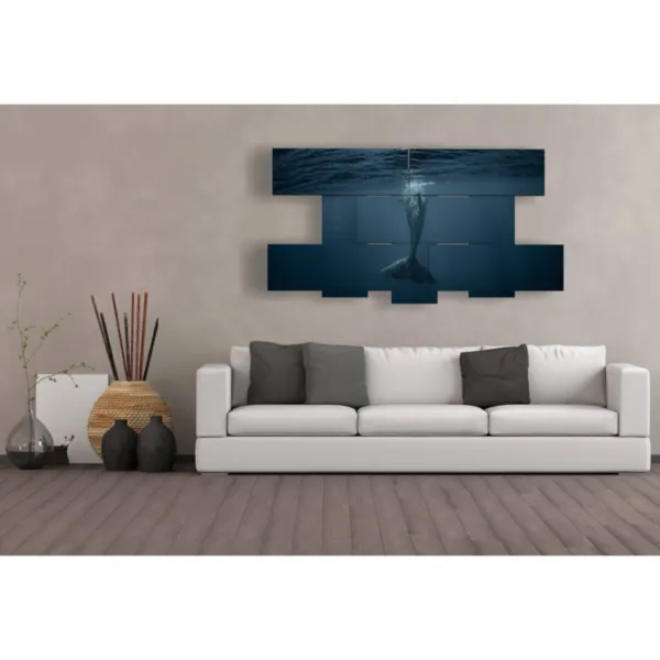 cuadros peces en vivo