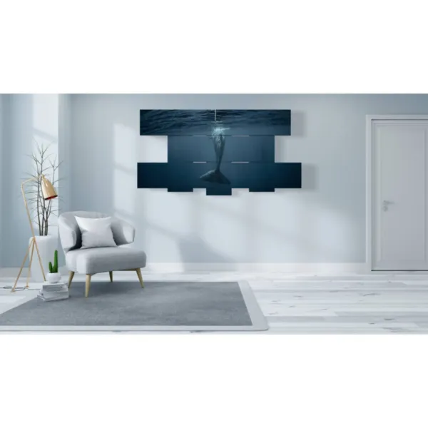 fish paintings in water