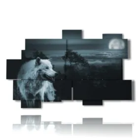 quadri animali bianco e nero