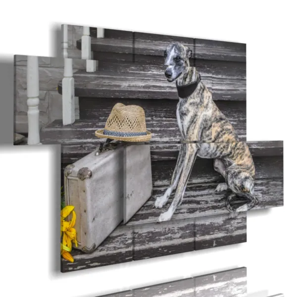 Cuadros antiguos de perro