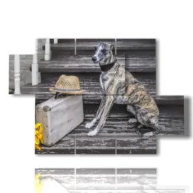 Tableau ancien chien