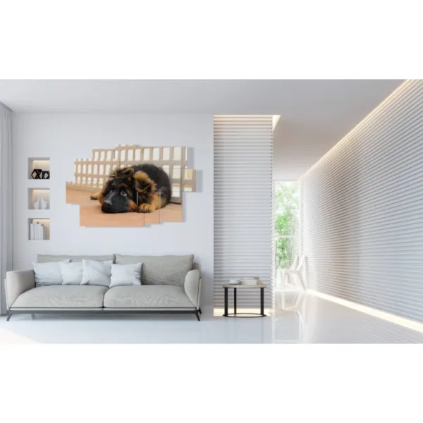 Décorations pour chien