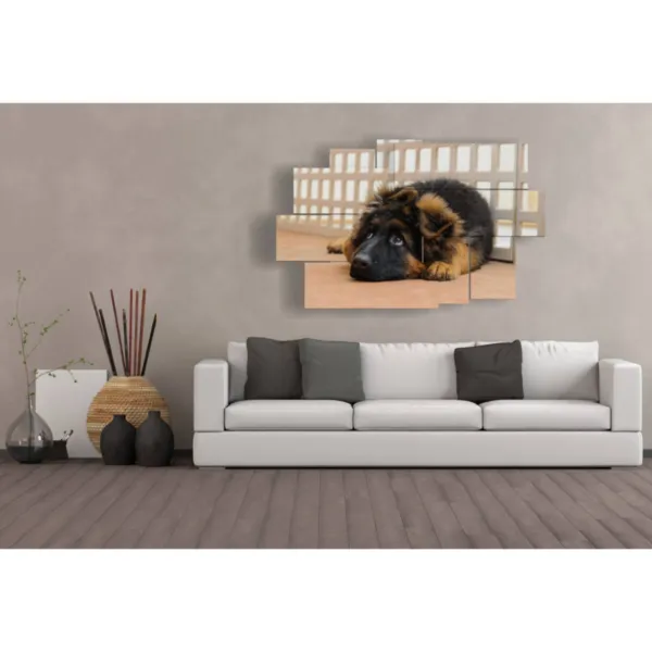 design d''intérieur pour chien