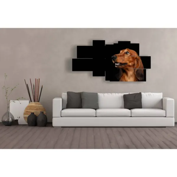 Bilder mit Hunden verschiedener Rassen