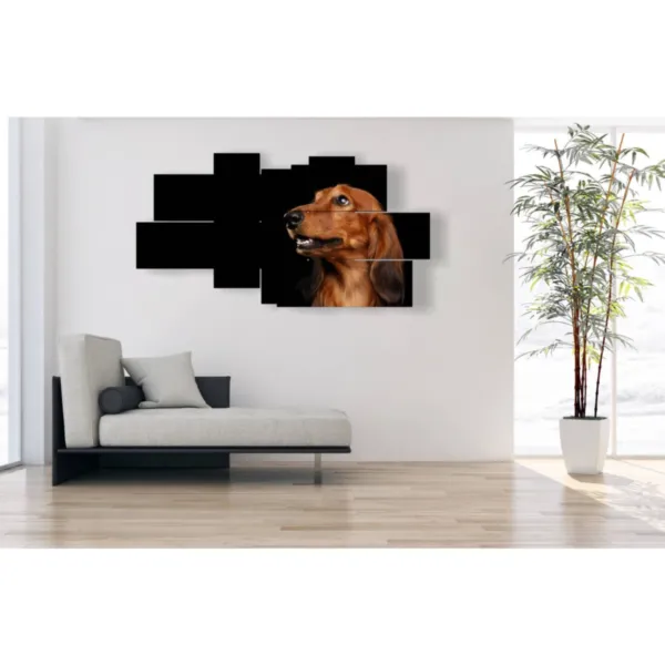 Affiche avec des photos de chiens de race