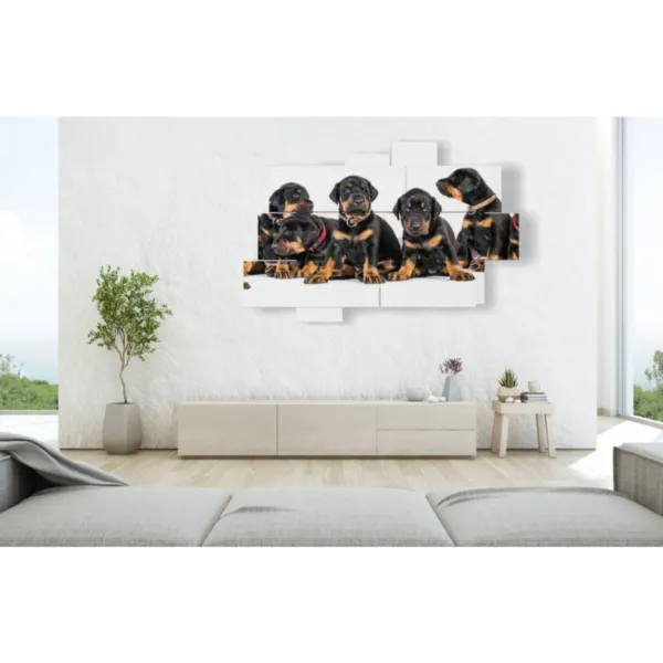 poster con foto di cuccioli