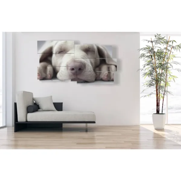 Paintings with photos of dogs