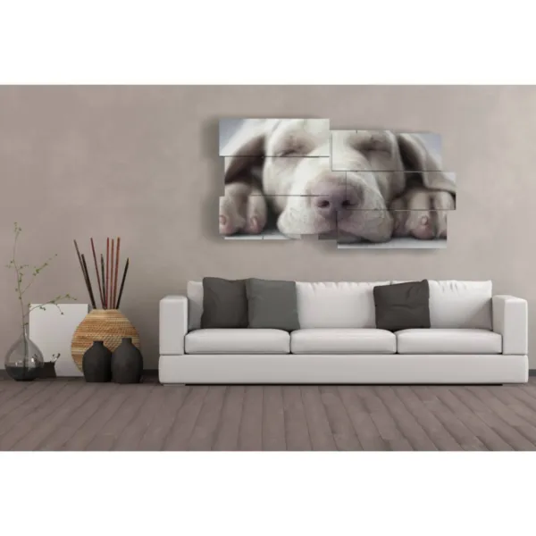 peintures de petits chiens