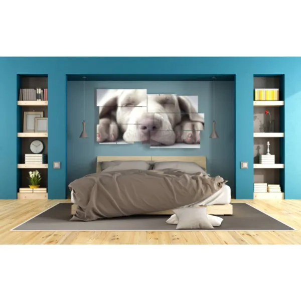 impressions avec de petits chiens