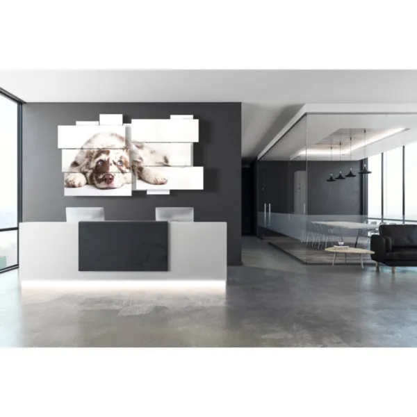 décorations avec des photos de chiens