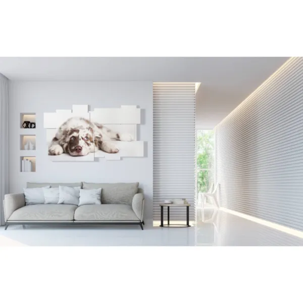 Canvas print with images of beautiful dogs