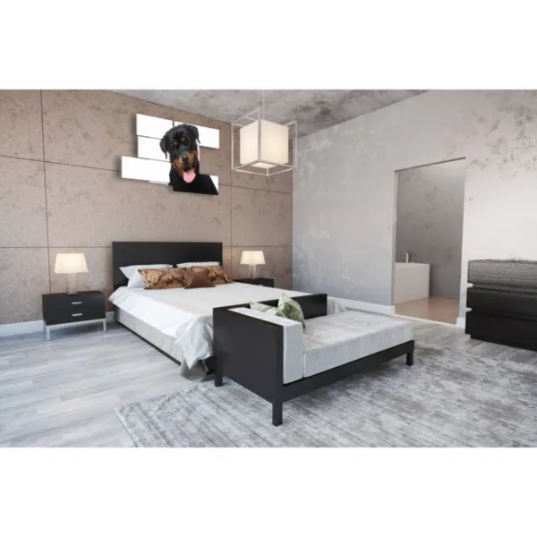 quadri cani di razza