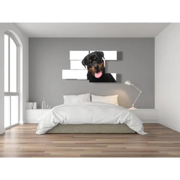 Affiche de chiens de race