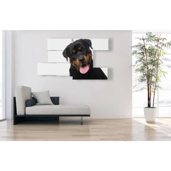 Fotos de perros de raza para paredes