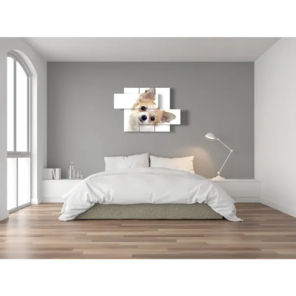 decorazioni cani piccola