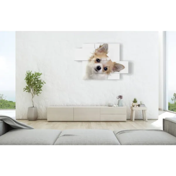 arredo con foto cani piccola