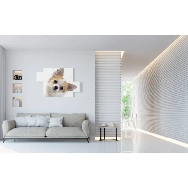 decorazioni per cani piccola