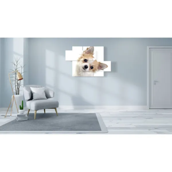 Cuadros personalizados para perros pequeños