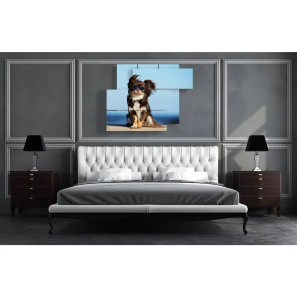 Photos amusantes de chiens à partager