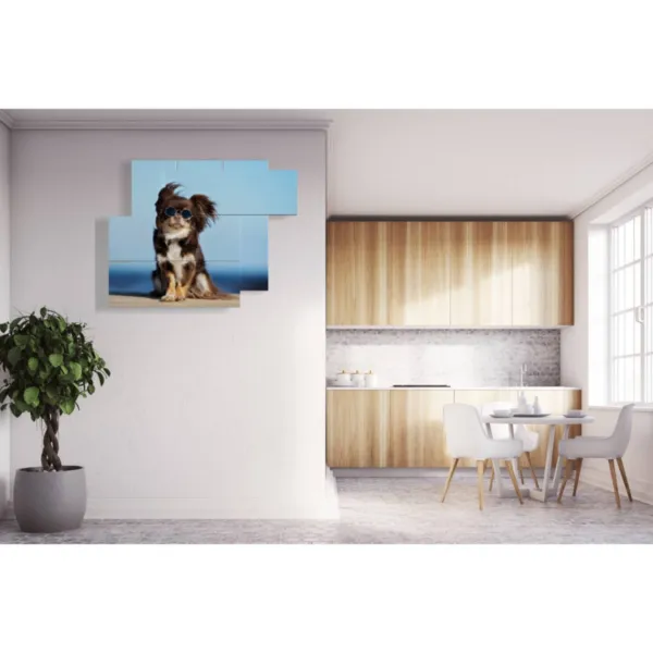 foto cani divertenti risate