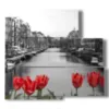 quadro con foto amsterdam bianco e nero - version: 5 pannelli 102x93cm