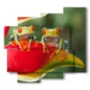paintings on animals with two frogs sitting in a flower - version: 5 pannelli 106x98cm