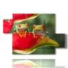 tierbild mit zwei froeschen die in einer blume sitzen - version: 5 pannelli 128x85cm
