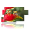 tierbild mit zwei froeschen die in einer blume sitzen - version: 7 pannelli 157x90cm