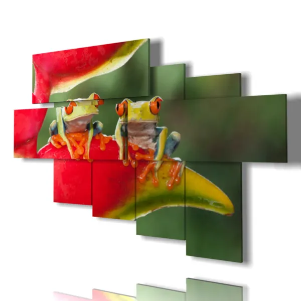 animal sillographies