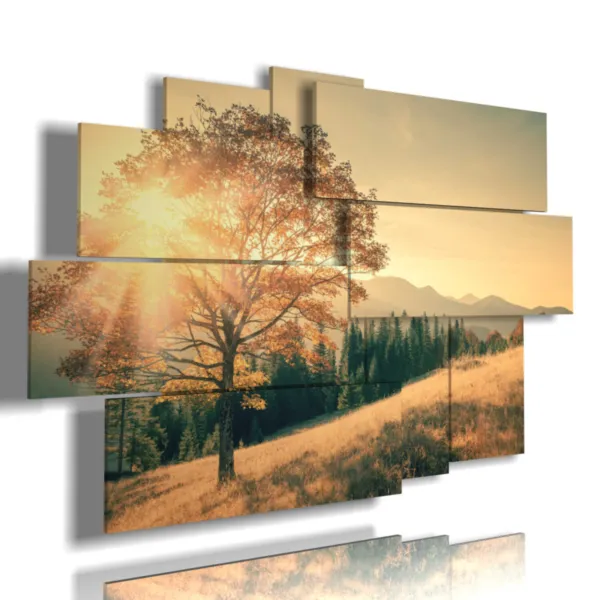 Herbstbilder, Bäume