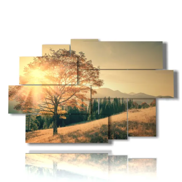 quadri alberi autunno