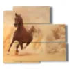 bild von arabischen pferden vor einer sandwolke - version: 5 pannelli 102x93cm