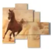 tableaux de chevaux arabes devant un nuage de sable - version: 5 pannelli 110x105cm