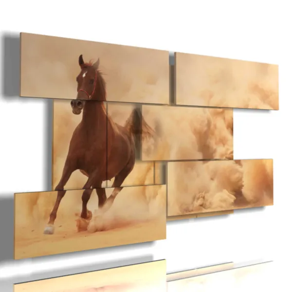 cuadros de caballos árabes