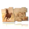 paintings of arabian horses in front of a cloud of sand - version: 11 pannelli 184x104cm