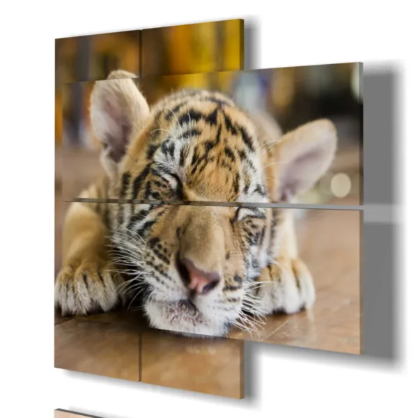 cuadros de tigre