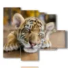 paintings with tiger cub - version: 5 pannelli 104x90cm