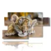 quadri con tigre cucciola - version: 7 pannelli 157x90cm