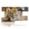 bilder mit tigerbaby - version: 9 pannelli 177x101cm