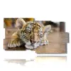 paintings with tiger cub - version: 10 pannelli 183x100cm