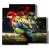 paintings on canvas parrots with magic feathers - version: 5 pannelli 102x93cm
