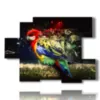 tableaux sur toile perroquets aux plumes magiques - version: 6 pannelli 129x94cm