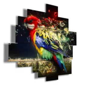 Tableaux avec perroquets sur toile